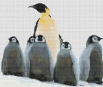 (image for) Penguin Family
